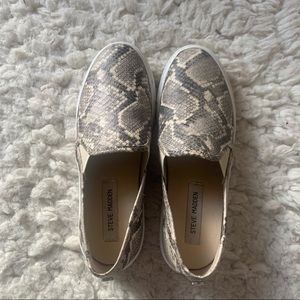 STEVE MADDEN - Snake Skin Sneakers